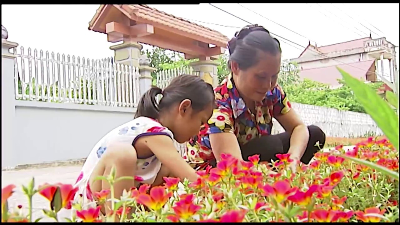 (VTC14) Đường hoa làm đẹp xóm làng ở Quảng Xương, Thanh Hóa